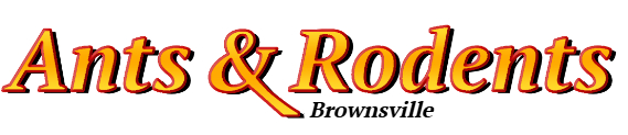 Brownsville Ant Exterminator & Rodent Control Company Logo